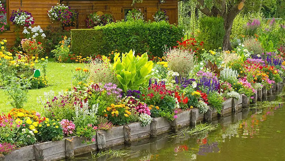 bunte-gartenlandschaft